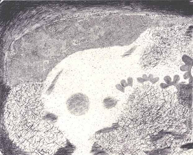 StarPuddlegrap1114